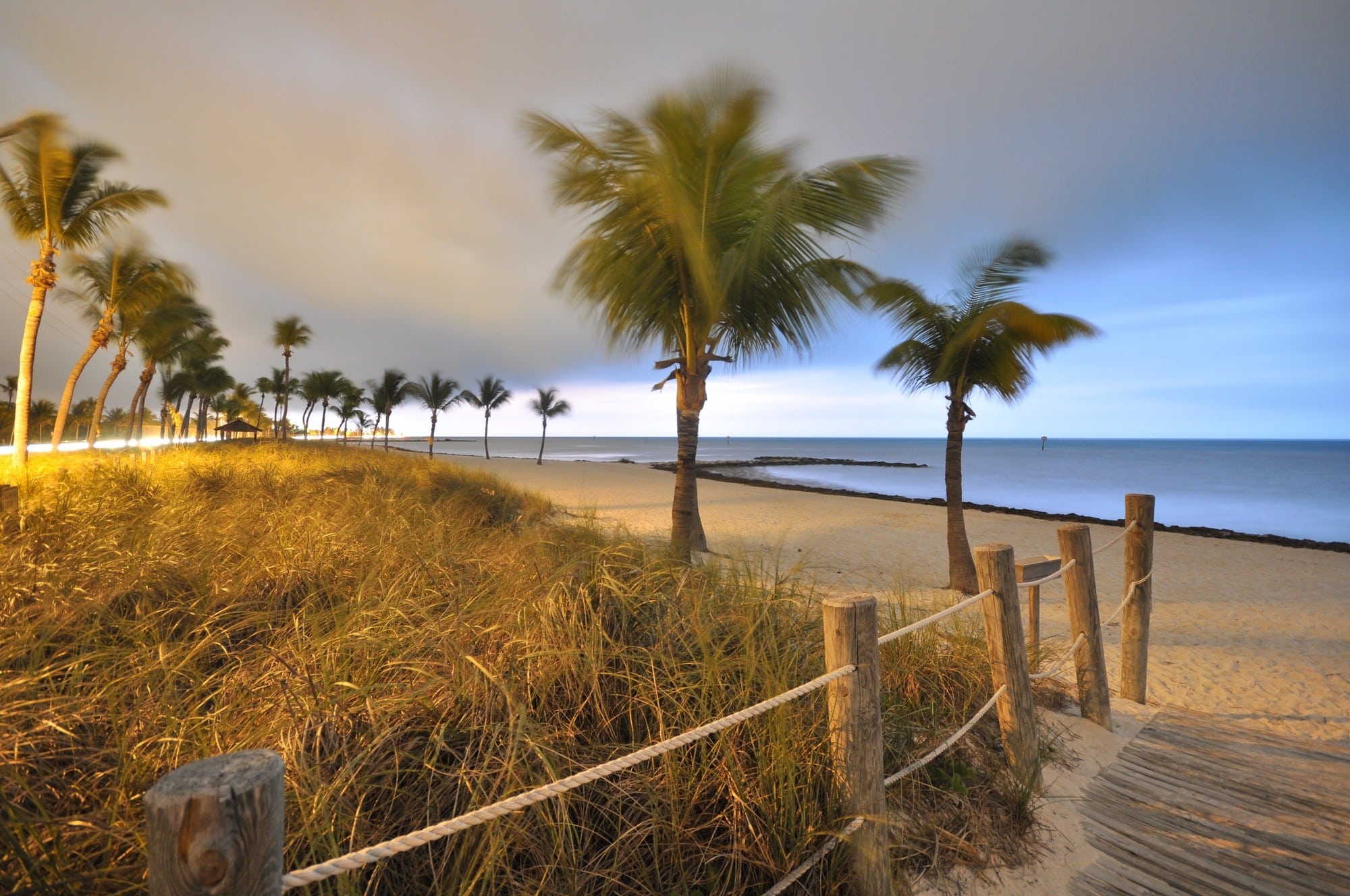 Beach with palm trees and unappetizing ocean water in Florida