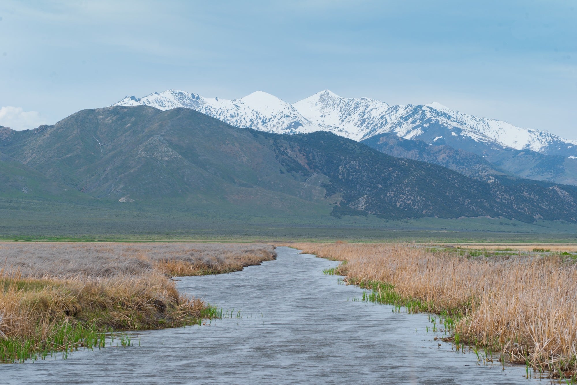 Ruby National Wildlife Refuge // Visit 13 of the best Nevada road trip stops, from the top state parks to hot springs, ghost towns & trails where you'll find solitude and amazing landscapes