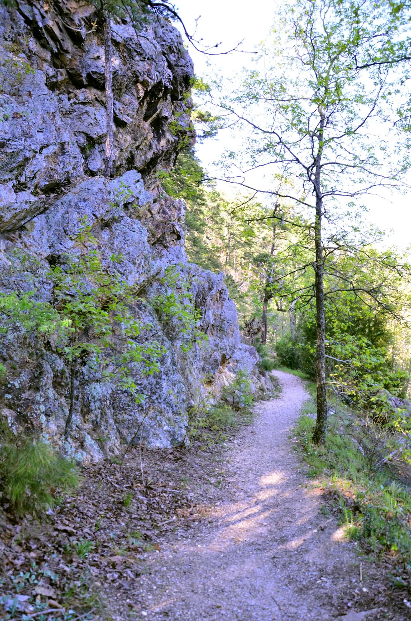 Sunset Trail in Hot Springs National Park, Arkansas / See our guide for the best things to do