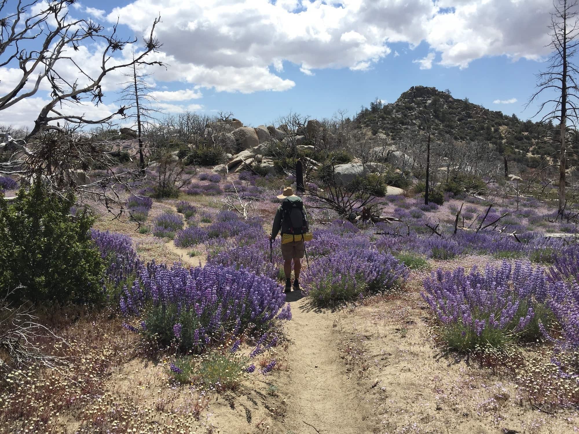 Thinking about thru-hiking the PCT? Check out these 20 Pacific Crest Trail photos and the story behind them from a girl who solo-hiked the PCT.