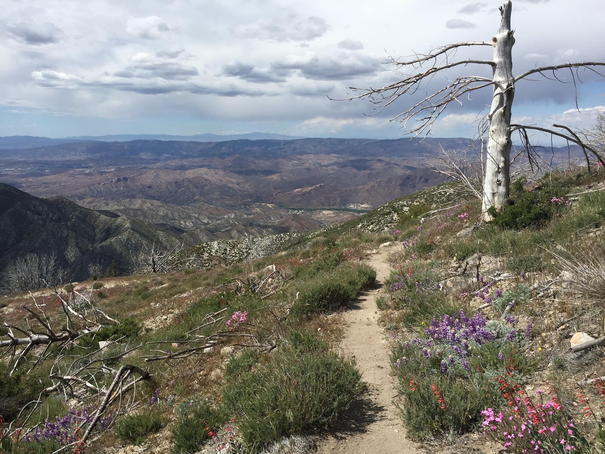 Thinking about thru-hiking the PCT? Check out these 20 Pacific Crest Trail photos and the story behind them from a girl who solo-hiked the PCT.