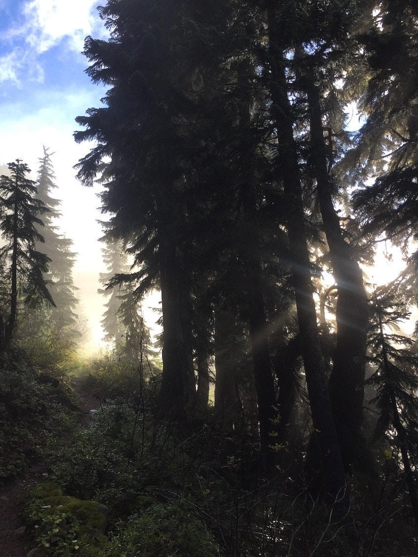 Thinking about thru-hiking the PCT? Check out these 20 Pacific Crest Trail photos and the story behind them from a girl who solo-hiked the PCT.