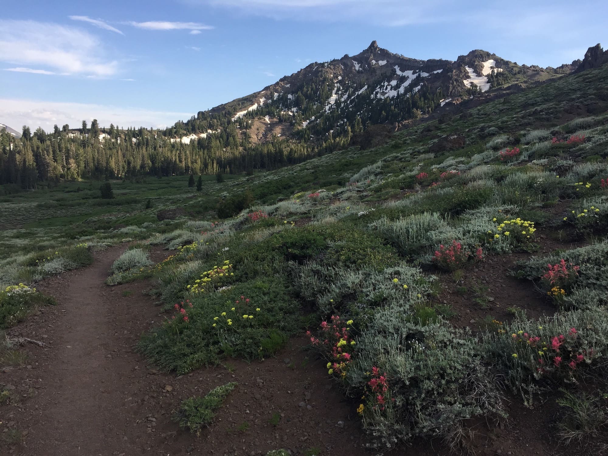 Swap out a day of bagging peaks for bagging trash on your favorite trail by getting involved with a volunteer trail maintenance group or organization near you. 