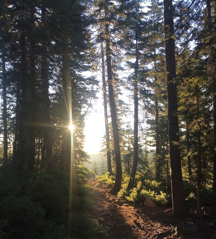 Thinking about thru-hiking the PCT? Check out these 20 Pacific Crest Trail photos and the story behind them from a girl who solo-hiked the PCT.