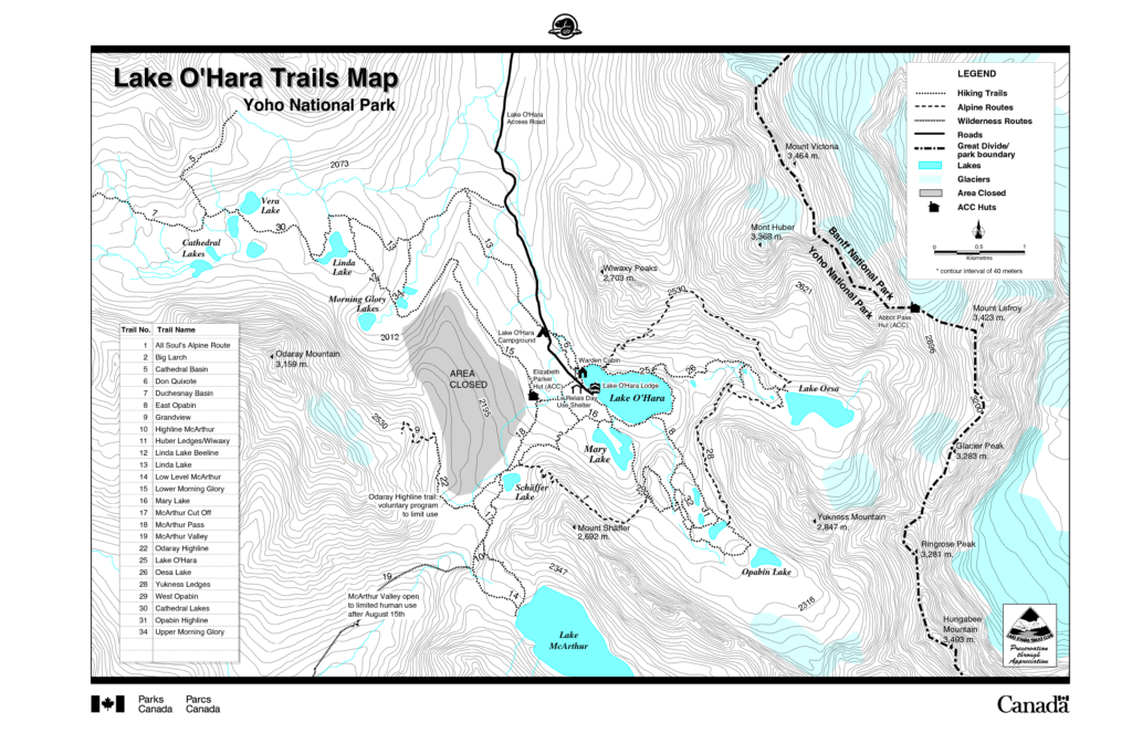 A Complete Guide to Camping & Hiking at Lake O'Hara – Bearfoot Theory