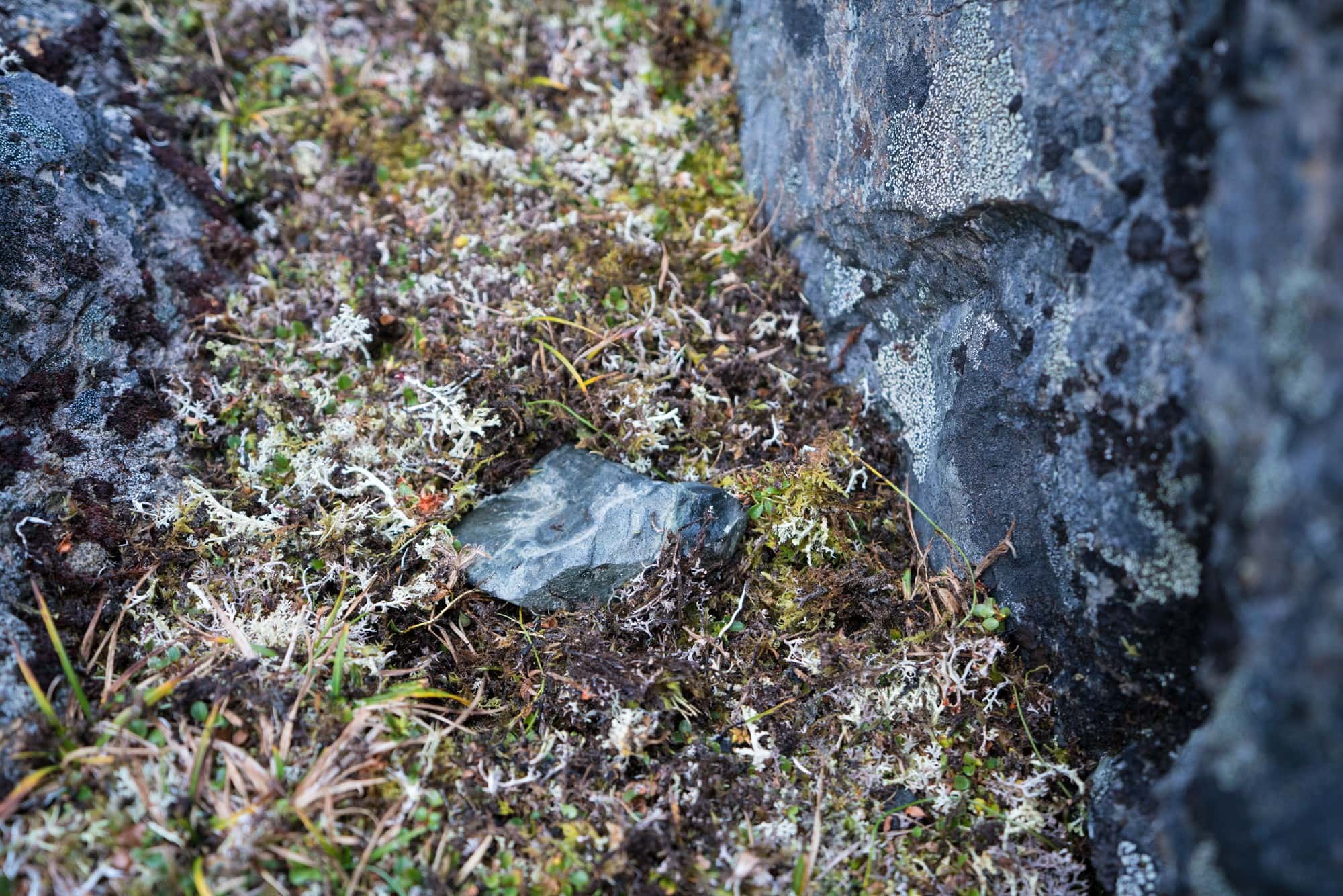 Covering a cat hole when pooping outsie / Know how to poop outdoors, pack out toilet paper, and stay clean when camping or backpacking so you can Leave No Trace.