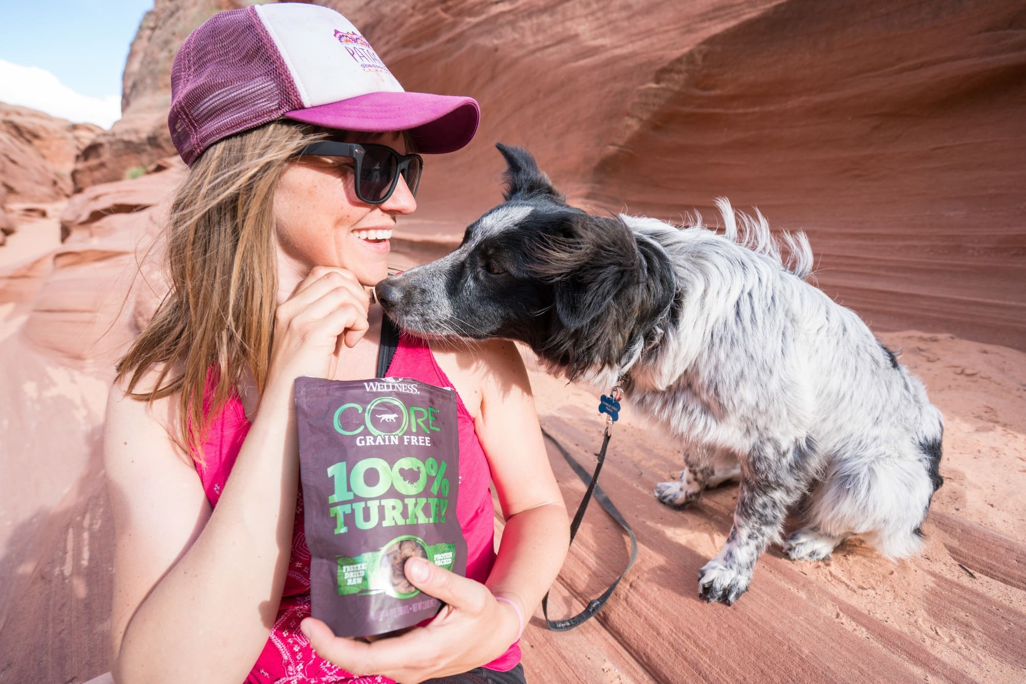 Feeding Charlie Wellness Pet Food treats // Get 15 practical tips for road trips with your dog, including training & ideas for keeping your dog exercised & entertained on the road.