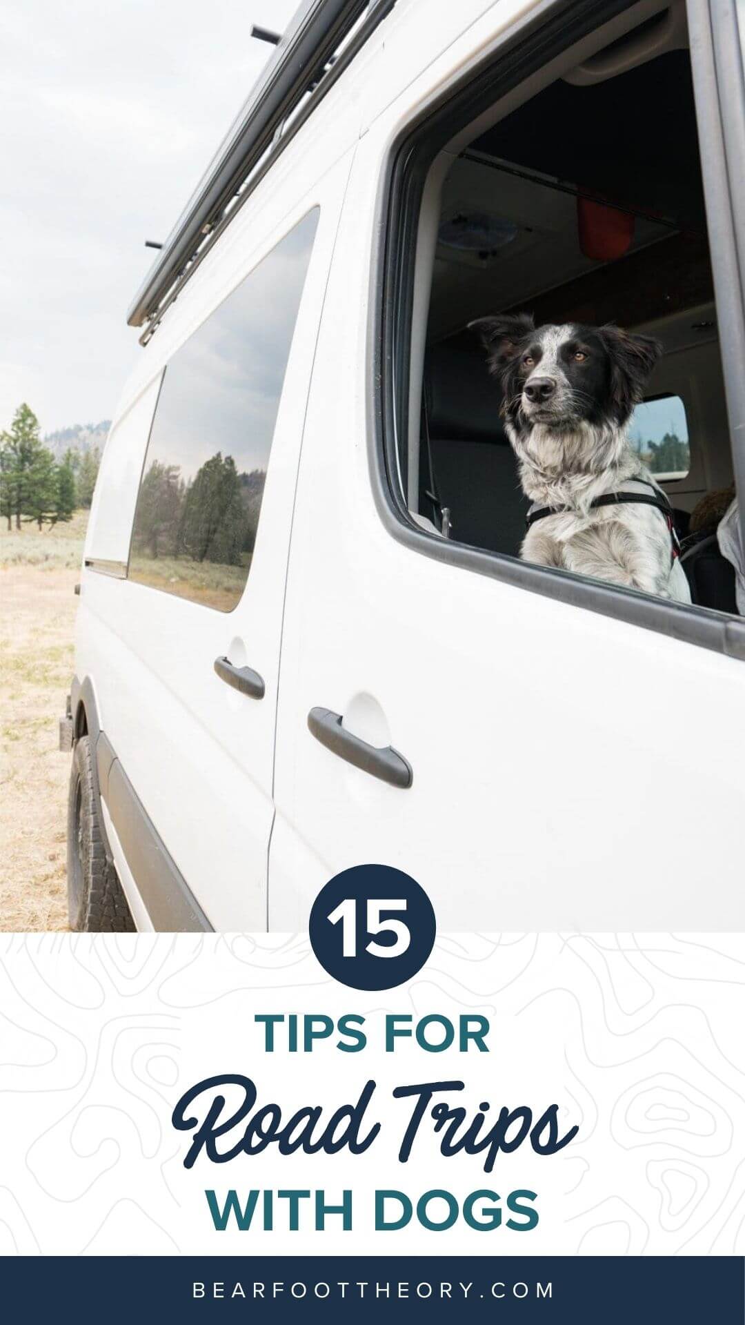 Everything You Need For A Road Trip With Dogs: Dog Travel