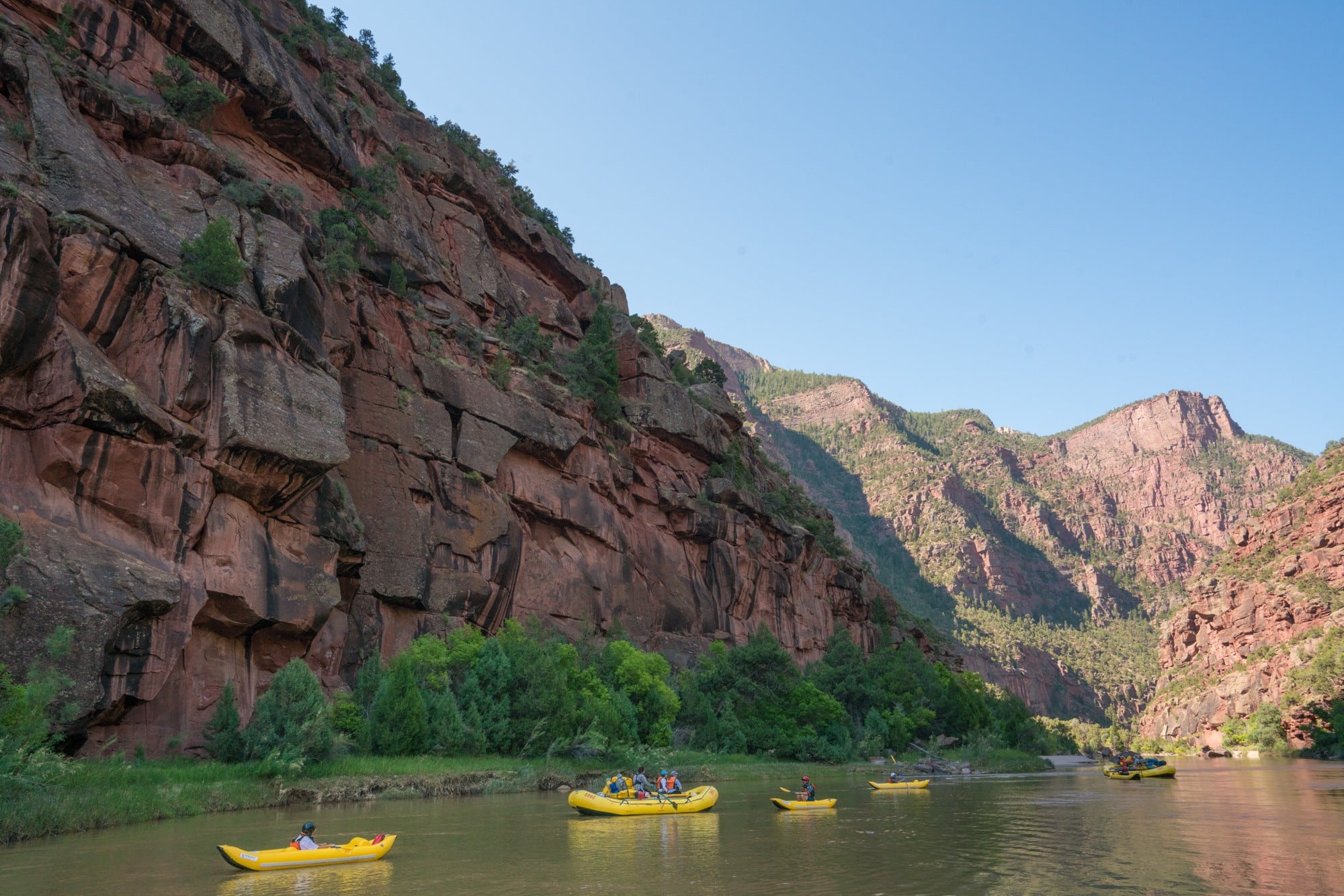 Multiple rafts on the OARS Gates of Lodore trip