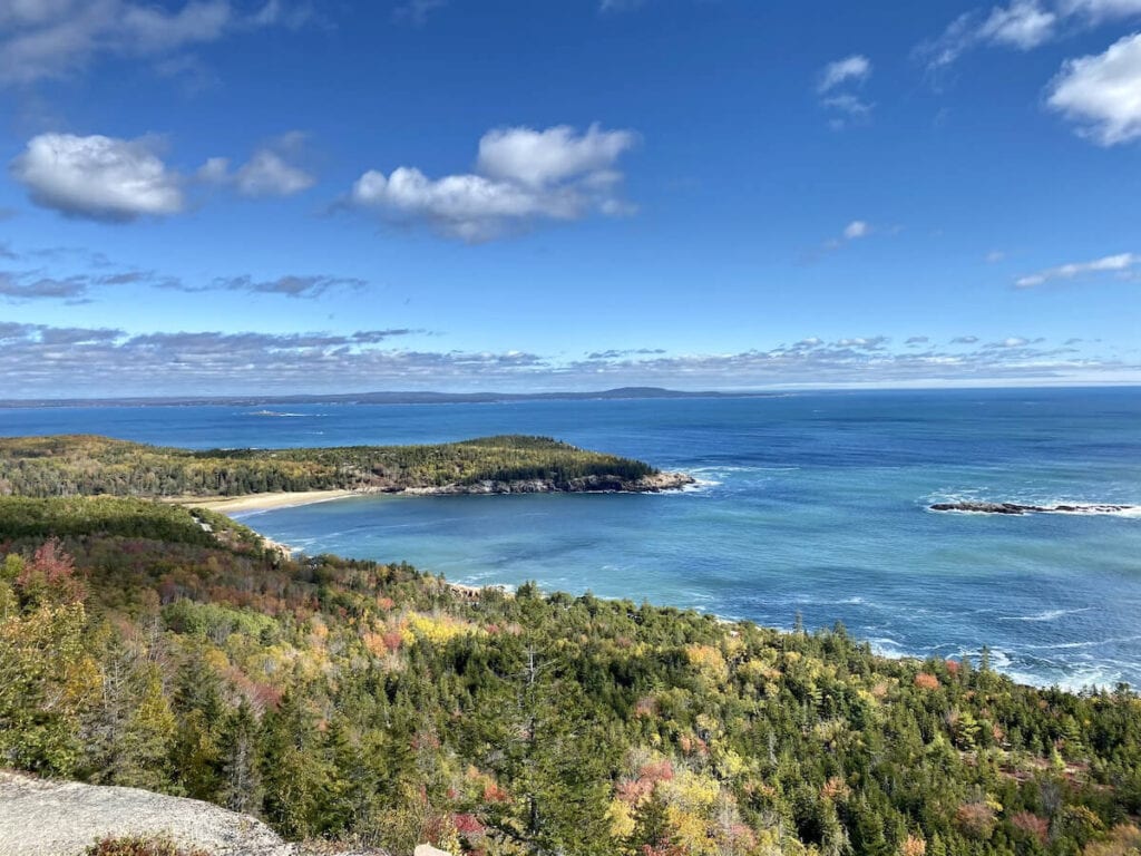 are dogs allowed at acadia national park