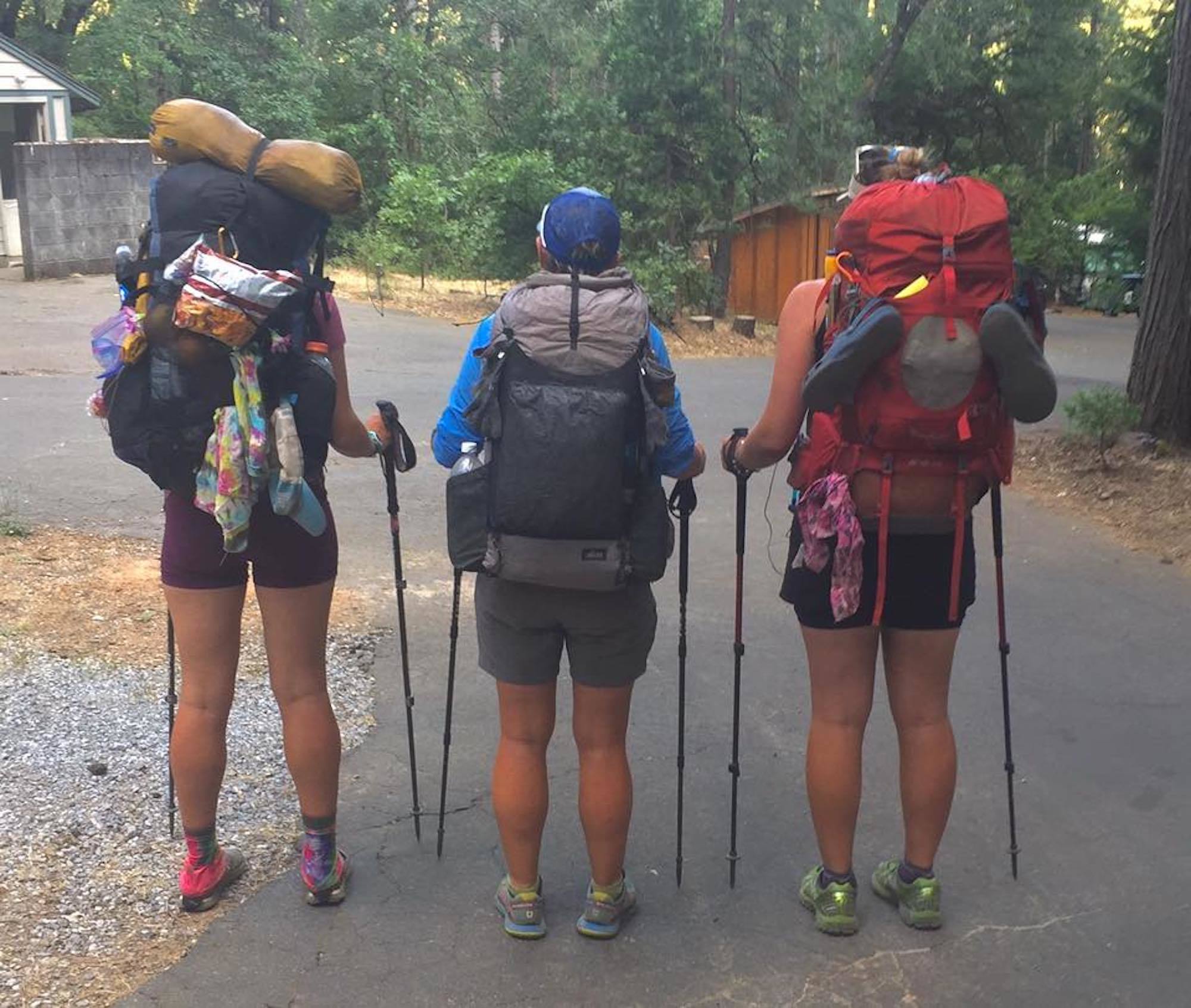 Three backpackers wearing loaded packs and carrying trekking poles facing away from camera