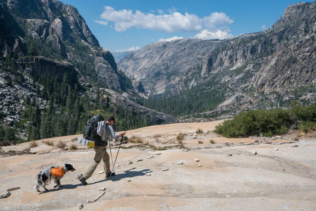 man hiking on a backpacking trip with a dog behind him // be prepared with a dog hiking first aid for backpacking trips