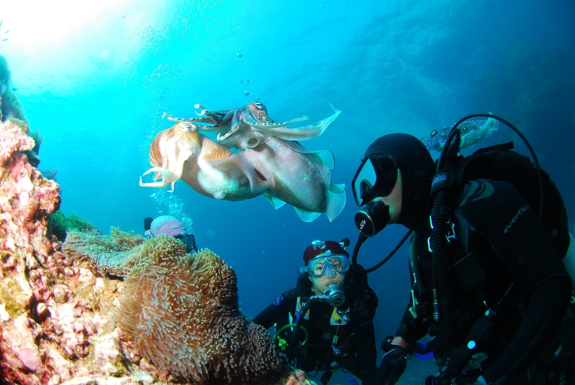 Teach Diving // Here are 11 outdoor careers that will get you out of the cube and provide a healthy work-life balance and plenty of fresh air.