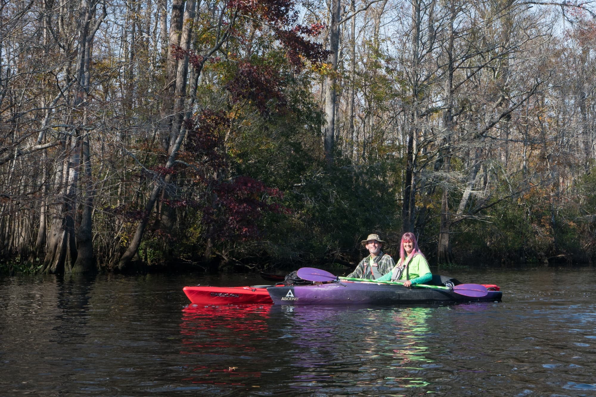 Add some adventure to your South Carolina vacation. Get the details and see photos from my Myrtle Beach kayaking tour with Gaitor Bait Adventures through the Waccamaw National Wildlife Refuge, where you have the chance to encounter alligators, birds, and other wildlife. 