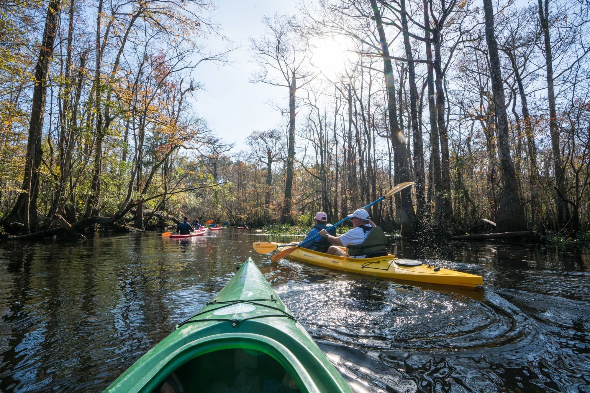 Add some adventure to your South Carolina vacation. Get the details and see photos from my Myrtle Beach kayaking tour with Gaitor Bait Adventures through the Waccamaw National Wildlife Refuge, where you have the chance to encounter alligators, birds, and other wildlife. 