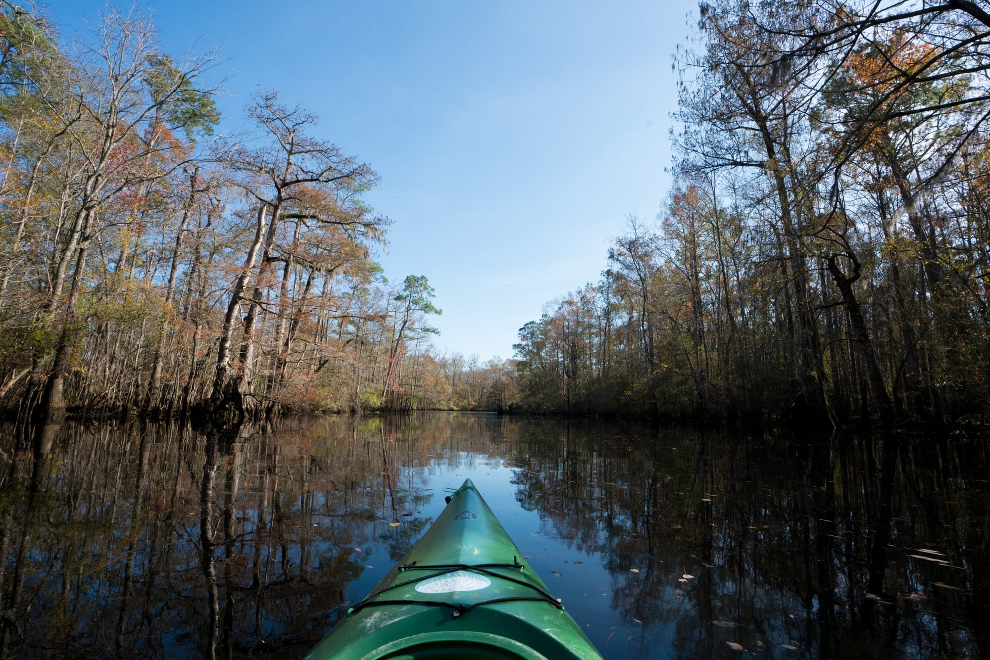 Add some adventure to your South Carolina vacation. Get the details and see photos from my Myrtle Beach kayaking tour with Gaitor Bait Adventures through the Waccamaw National Wildlife Refuge, where you have the chance to encounter alligators, birds, and other wildlife. 