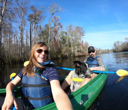 Add some adventure to your South Carolina vacation. Get the details and see photos from my Myrtle Beach kayaking tour with Gaitor Bait Adventures through the Waccamaw National Wildlife Refuge, where you have the chance to encounter alligators, birds, and other wildlife.