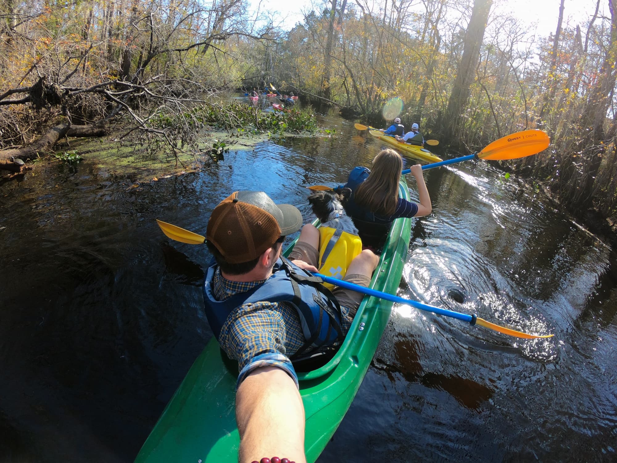 Add some adventure to your South Carolina vacation. Get the details and see photos from my Myrtle Beach kayaking tour with Gaitor Bait Adventures through the Waccamaw National Wildlife Refuge, where you have the chance to encounter alligators, birds, and other wildlife. 