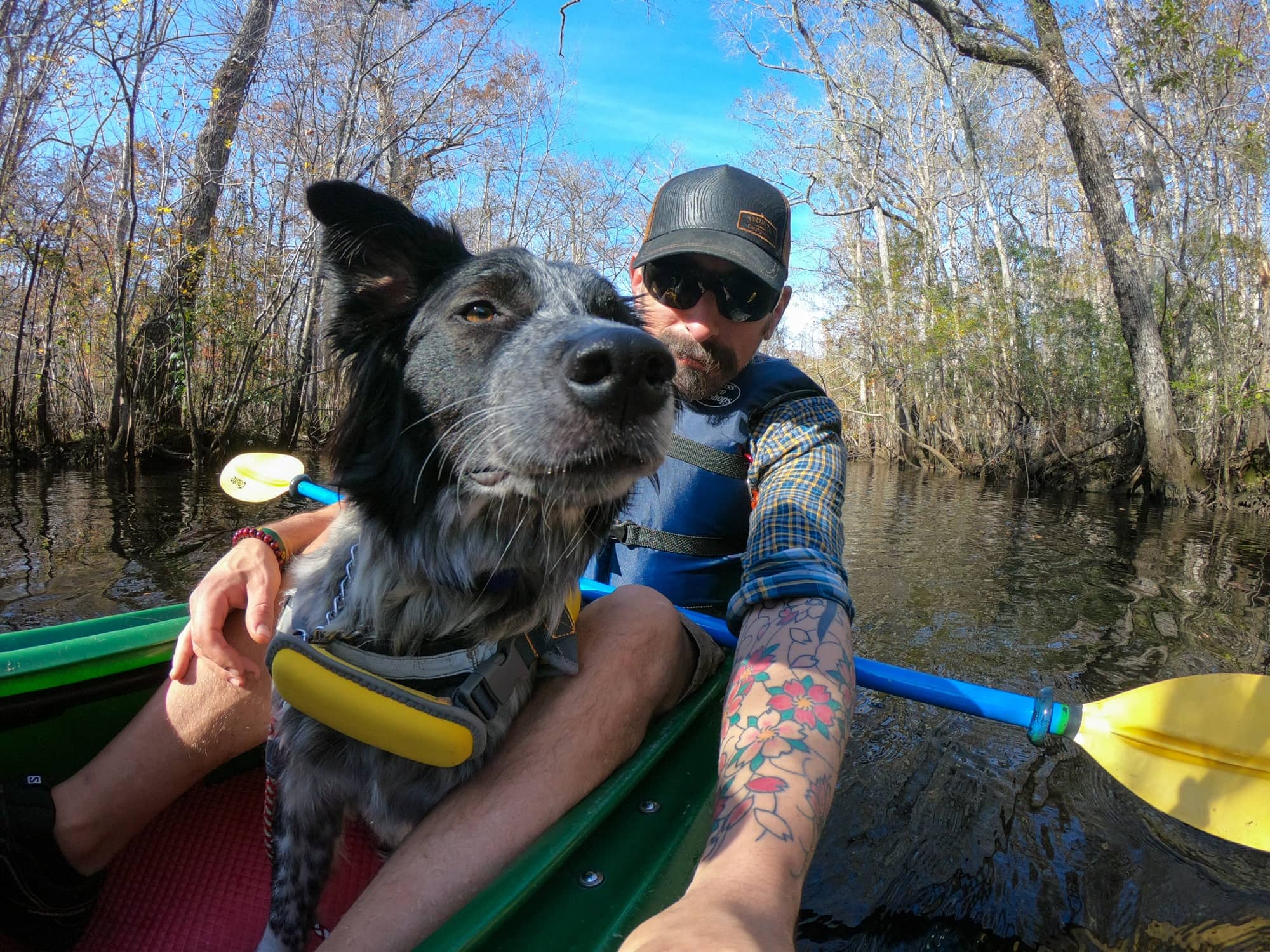 Add some adventure to your South Carolina vacation. Get the details and see photos from my Myrtle Beach kayaking tour with Gaitor Bait Adventures through the Waccamaw National Wildlife Refuge, where you have the chance to encounter alligators, birds, and other wildlife. 