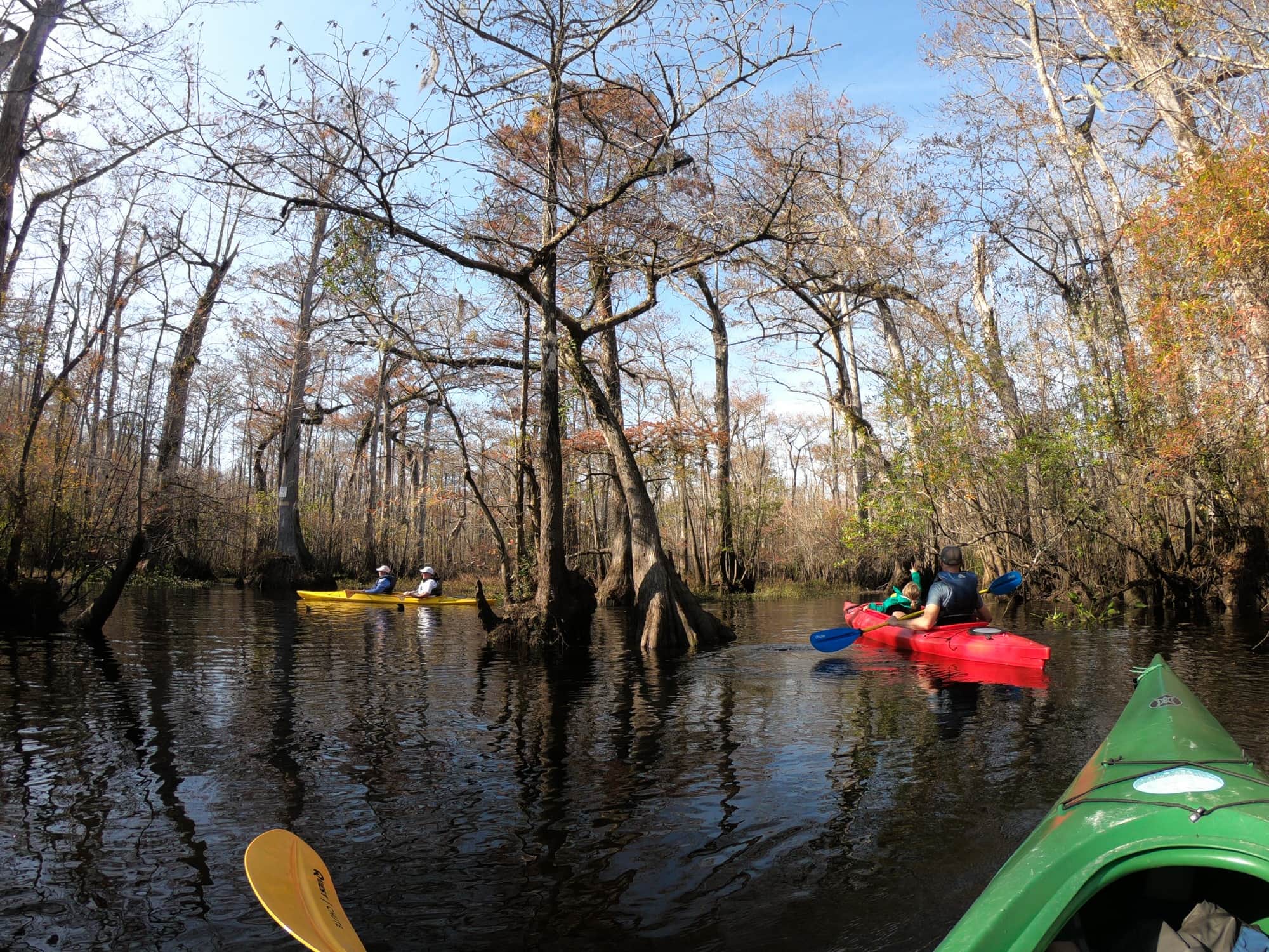 Add some adventure to your South Carolina vacation. Get the details and see photos from my Myrtle Beach kayaking tour with Gaitor Bait Adventures through the Waccamaw National Wildlife Refuge, where you have the chance to encounter alligators, birds, and other wildlife. 