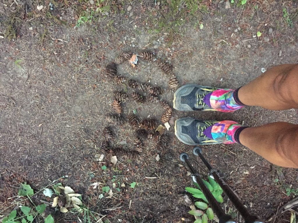 Photo looking down at hiker's legs and feet showing trail running shoes for hiking and gaiters on the PCT