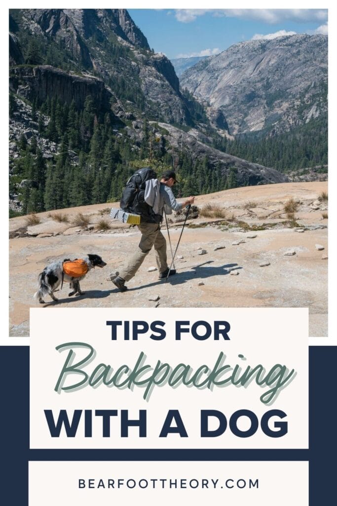 13 Tips for Backpacking with a Dog Bearfoot Theory
