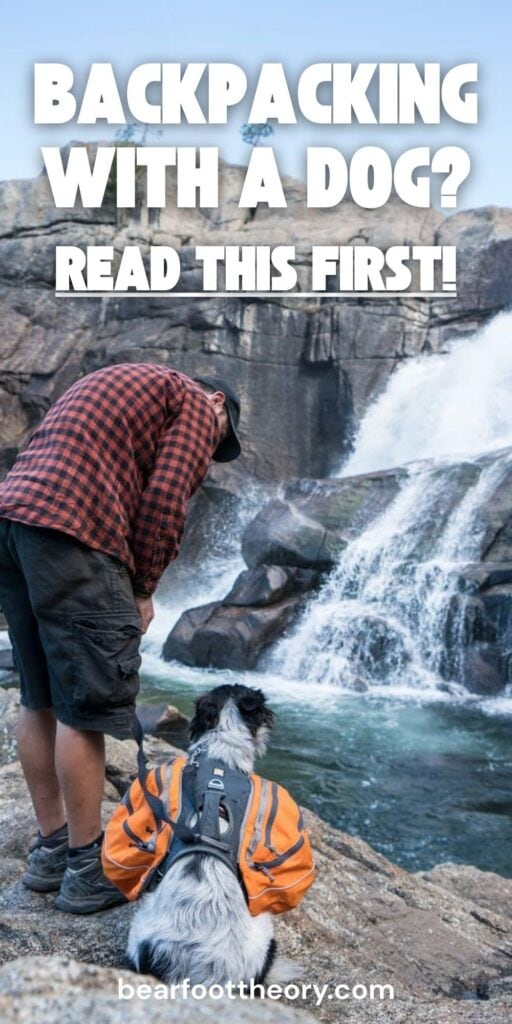Photo of a man and dog in front of a waterfall with text "backpacking with a dog? read this first!"