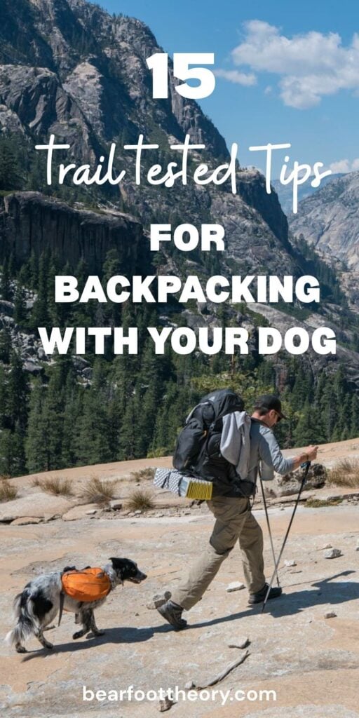 Photo of a man hiking with dog with text "15 trail tested tips for backpacking with your dog"