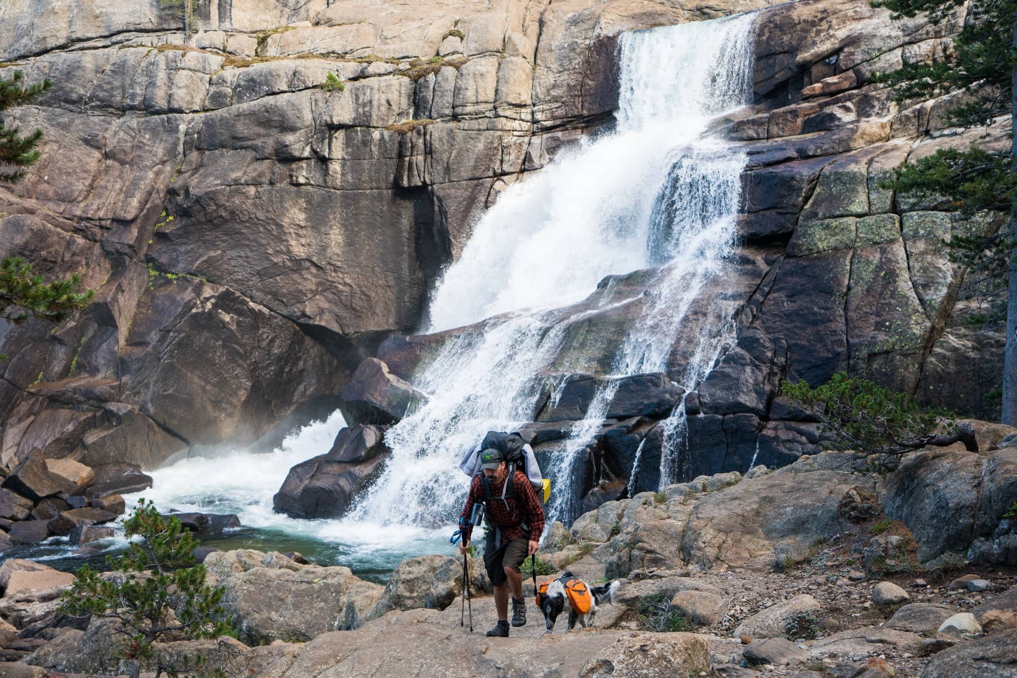 dog water hiking