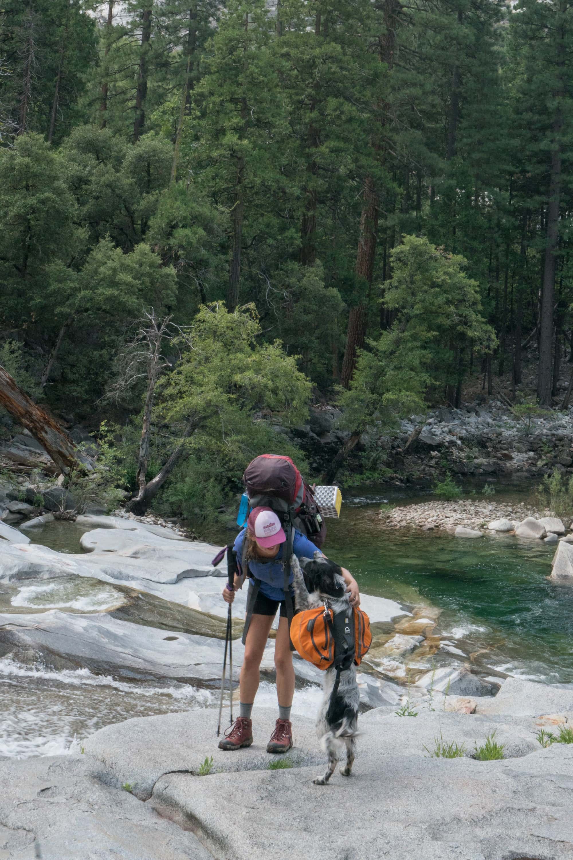 how much weight can a dog carry hiking