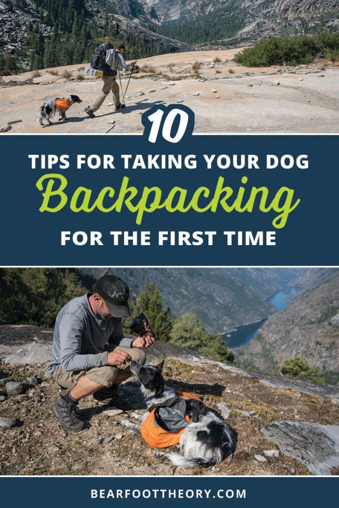 Want to take your canine companion on the trail? Learn how to safely go backpacking with a dog with these 12 dog backpacking tips, including dog nutrition & hydration, dog backpacking gear, leave no trace best practices, and training.