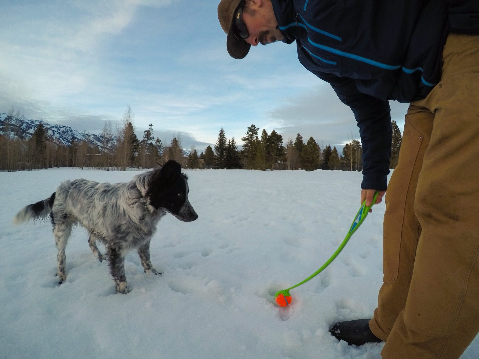 Man picking up ball in snow with tennis ball launcher while dog stares at the ball expectantly