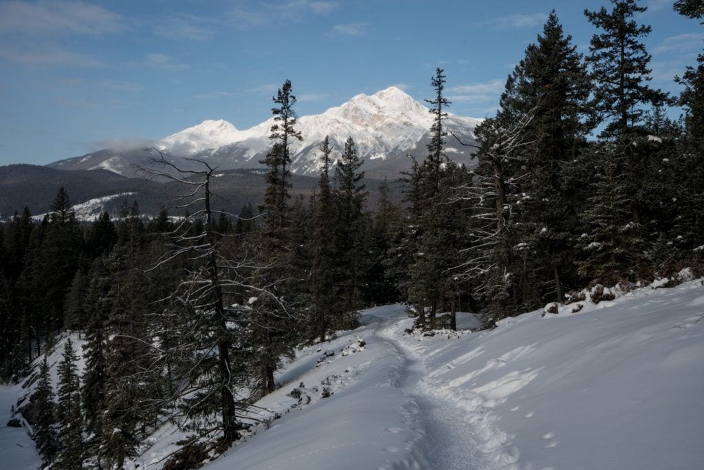 jasper national park in winter