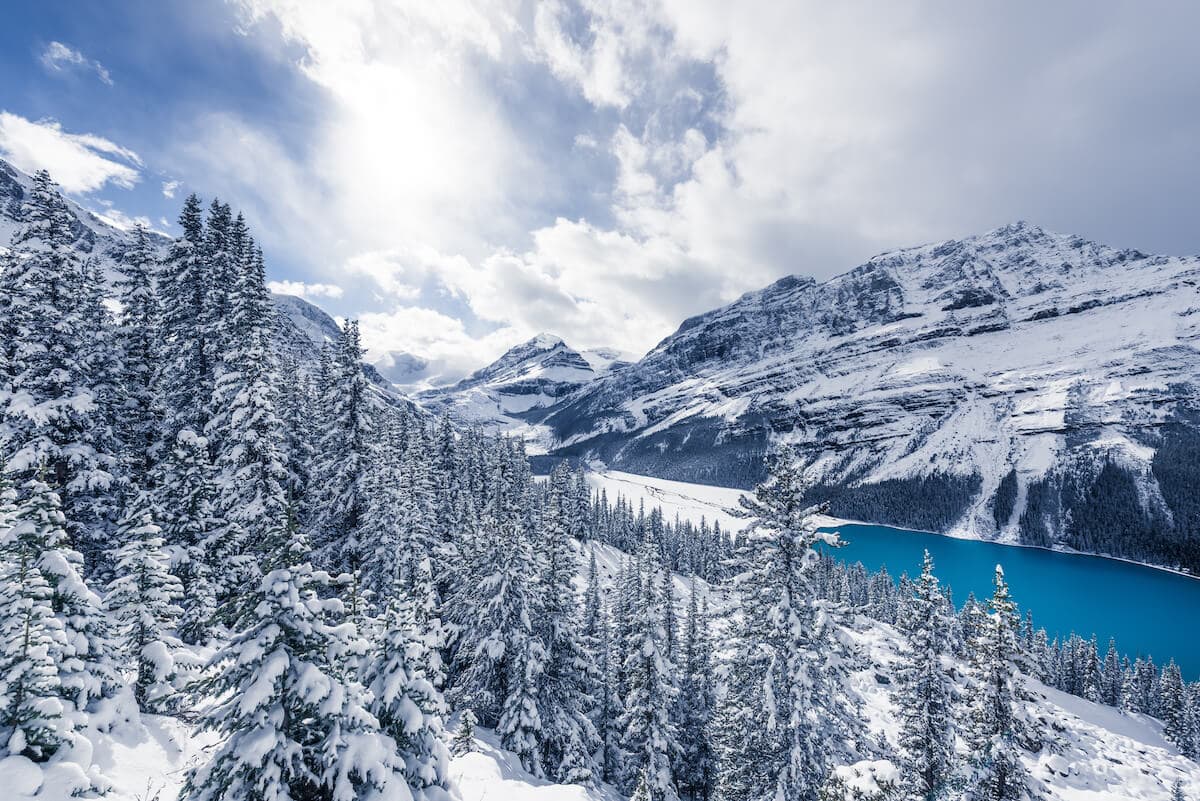 Easy Winter Hikes in Banff and Jasper National Parks