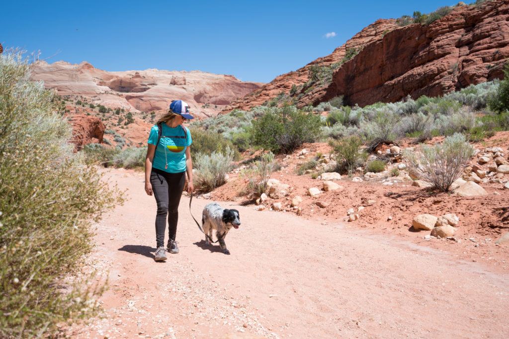 Kristen hiking with her dog Charlie in a desert landscape