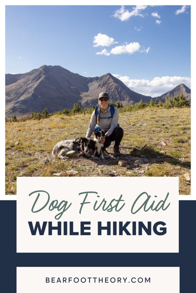 Learn the basics of dog first aid for hiking with expert tips from a veterinarian including symptoms and treatment of common injuries.