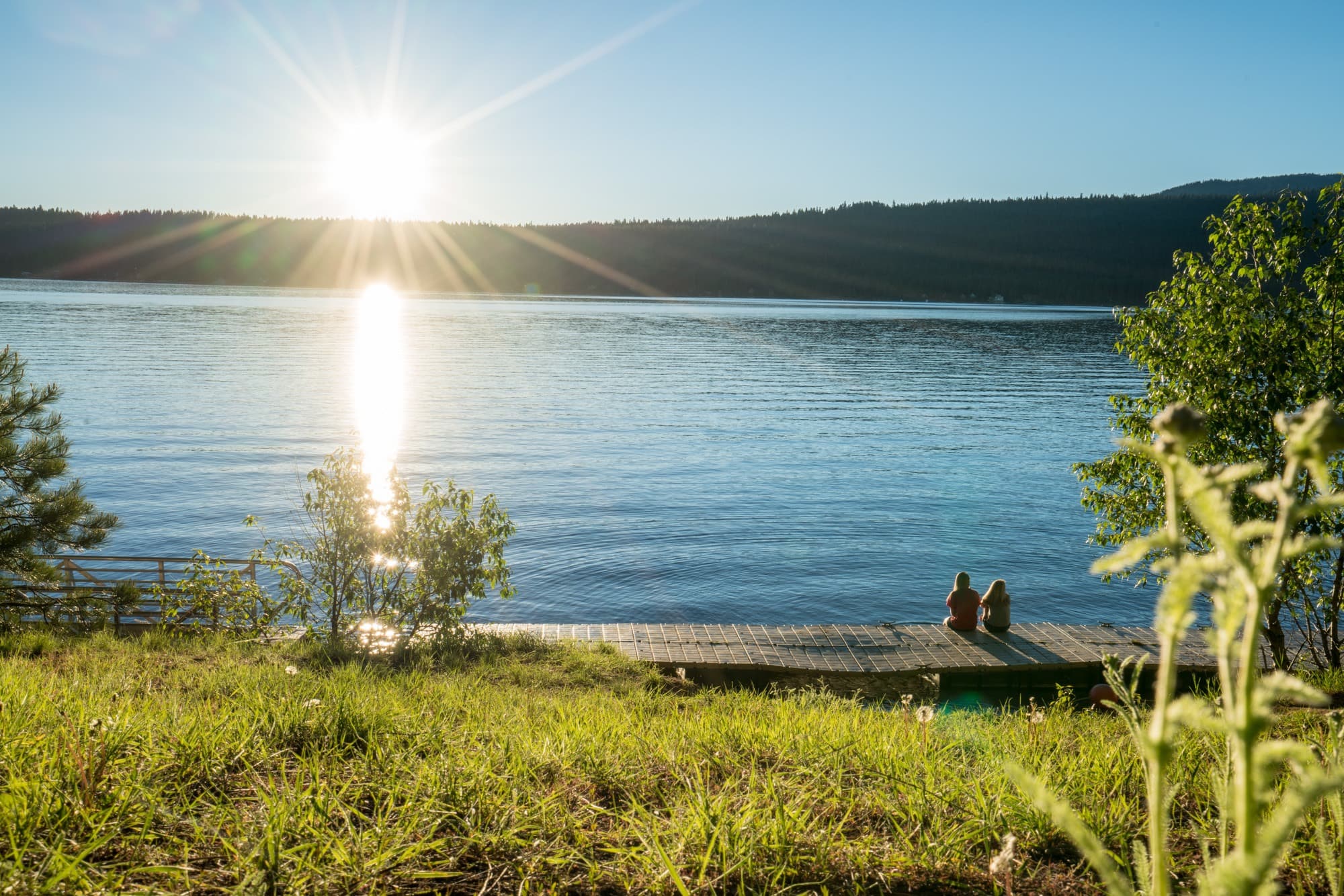 Learn how to speak up for the environment. Get tips for getting involved in the political process, leading by example, and finding groups working on the environmental issues you care about.