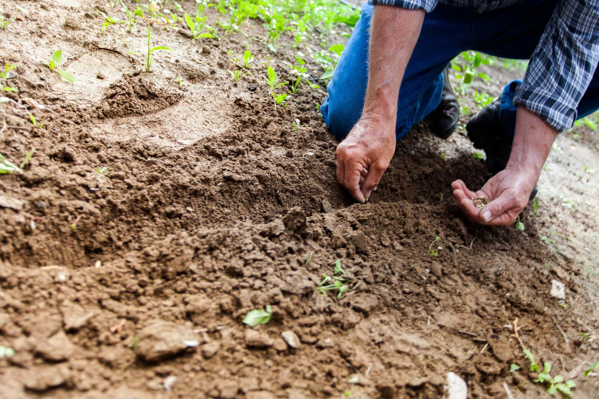 Learn how to speak up for the environment. Get tips for getting involved in the political process, leading by example, and finding groups working on the environmental issues you care about.