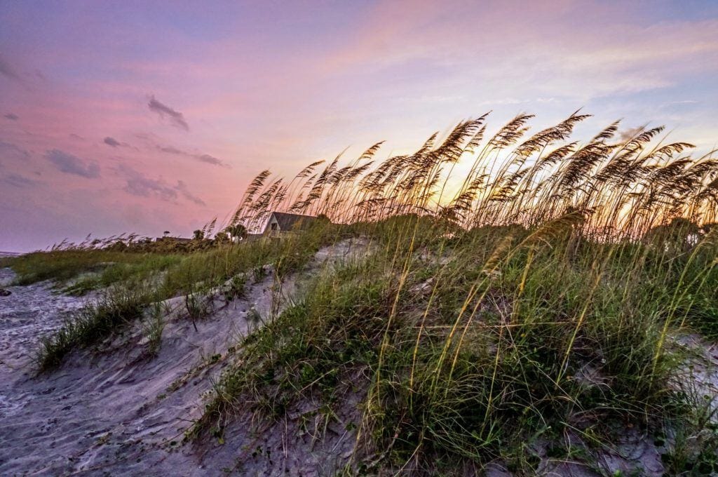 From biking to hiking to birding and searching for seashells there are plenty of outdoor activities on Hilton Head Island to keep you having fun in the sun and active all vacation long.