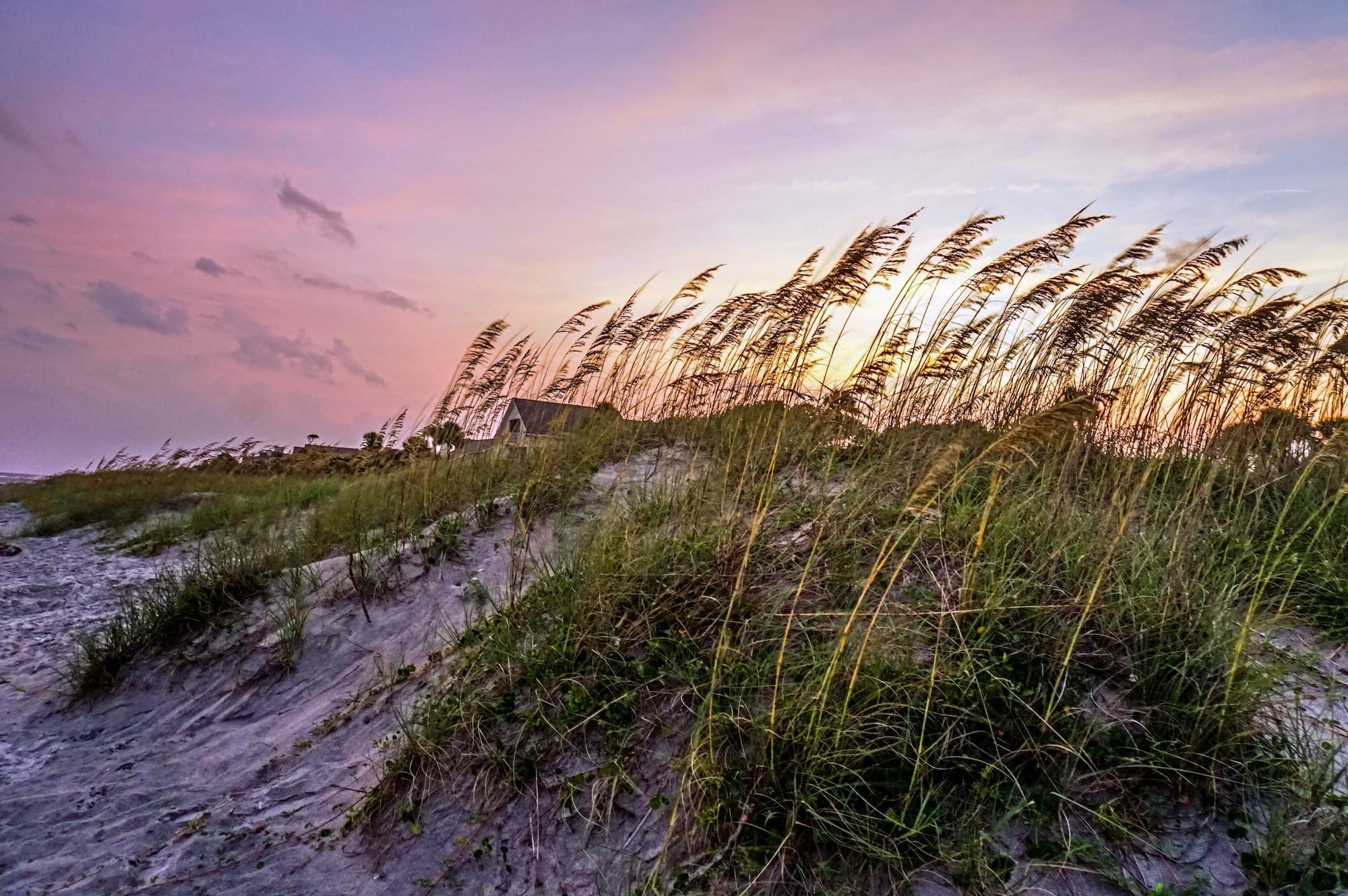 Hilton Head Island Outdoor Adventure Guide – Bearfoot Theory