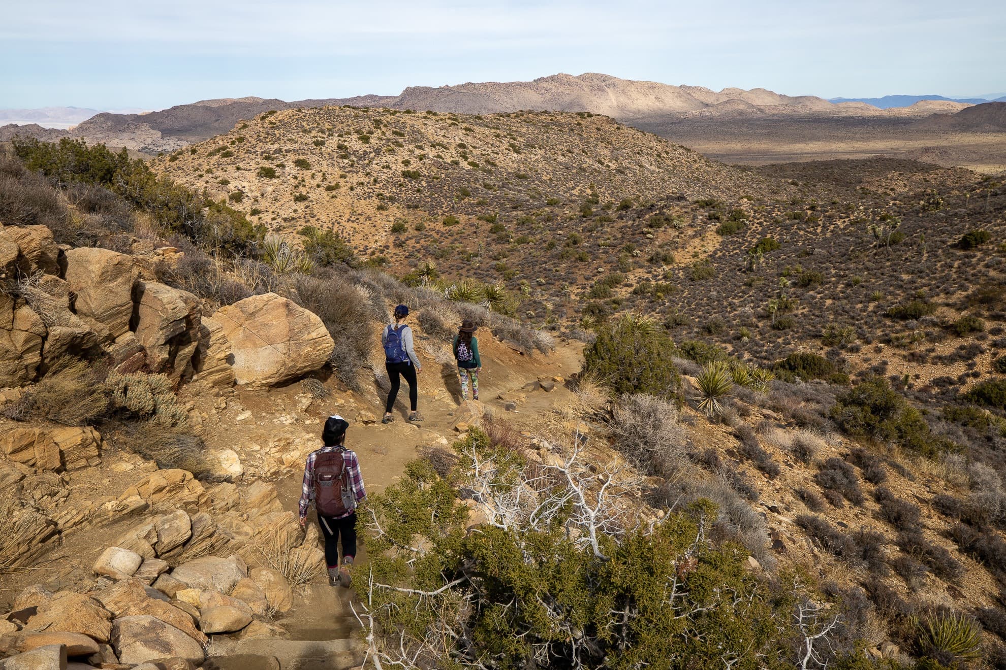 Trail Etiquette 101: The Basic Rules of Hiking