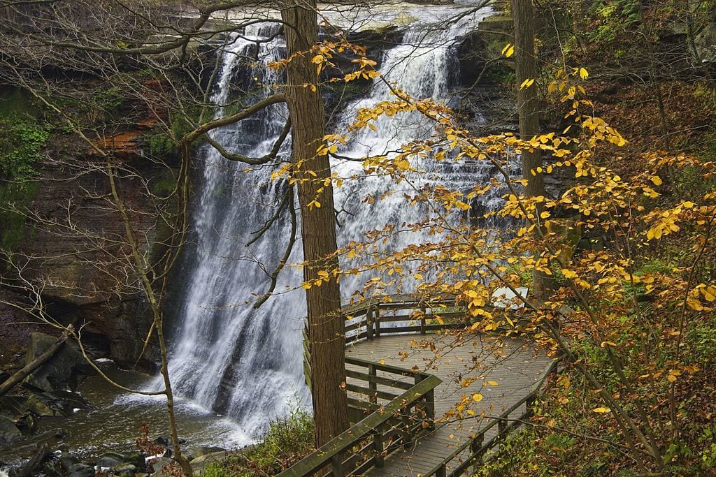 Are dogs allowed in Cuyahoga National Park? Learn the trails and campgrounds where dogs are permitted in this blog post.