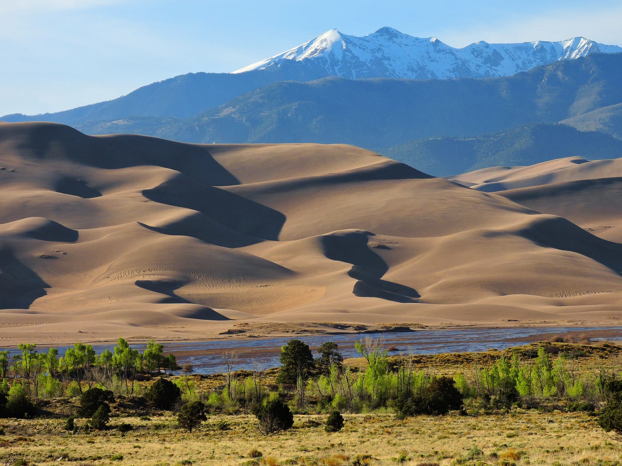 Are dogs allowed in Great Sand Dunes National Park? Learn the trails and campgrounds where dogs are permitted in this blog post.