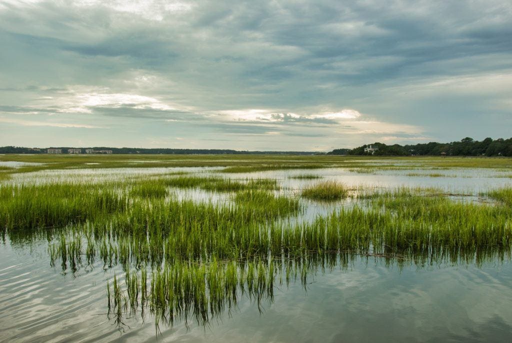 Plan an active vacation with the best outdoor activities on Hilton Head Island including hiking, biking, kayaking, and more.