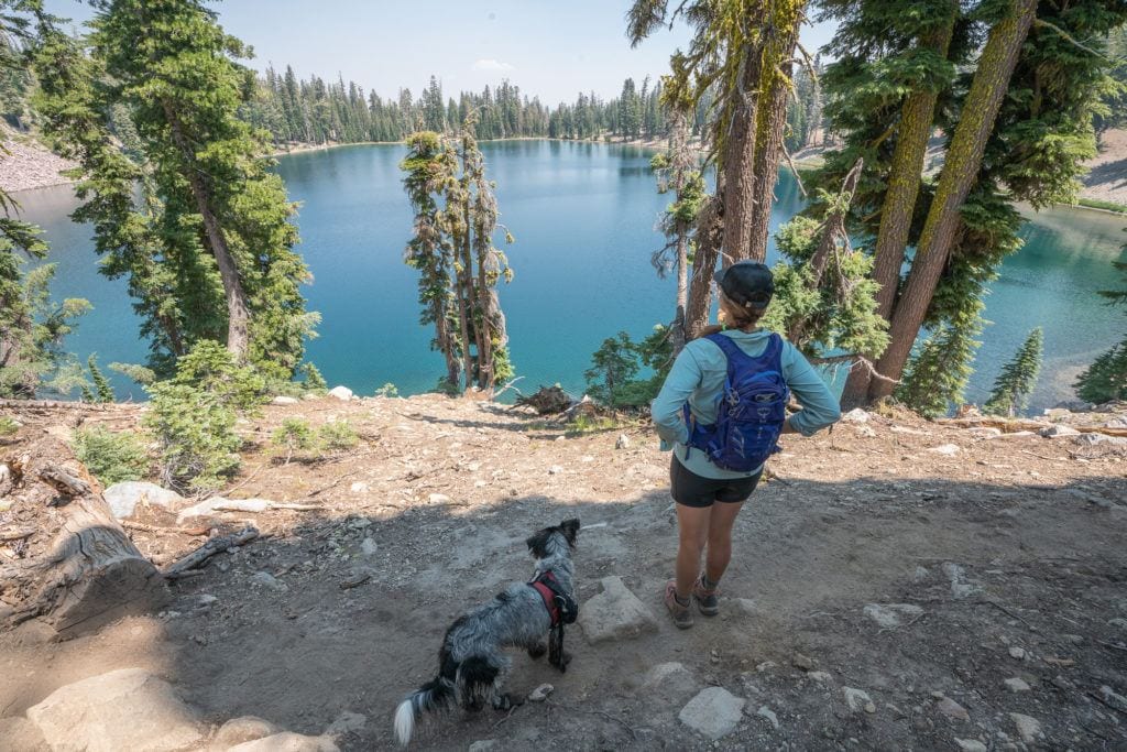 Female hiker and service dog on trail carrying a daypack looking out blue lake surrounded by pine trees. 