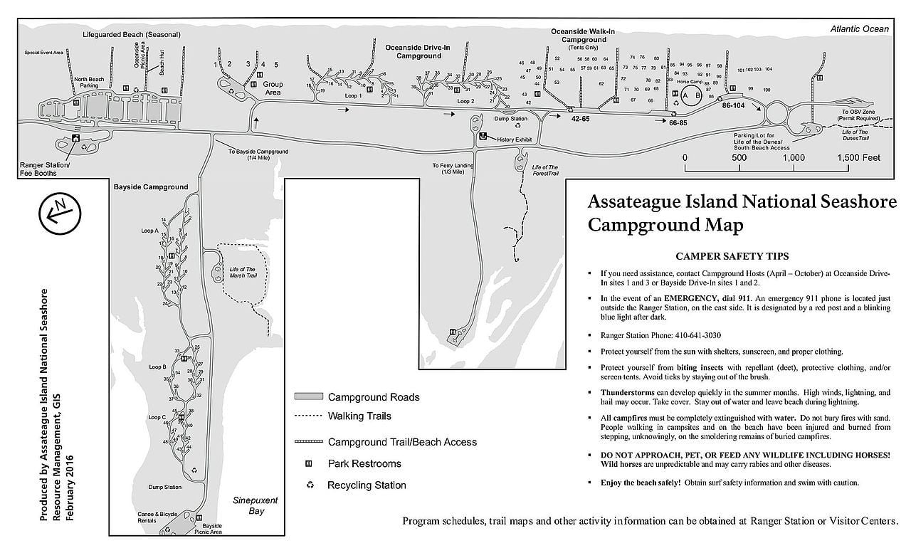 camping reservations assateague island national seashore