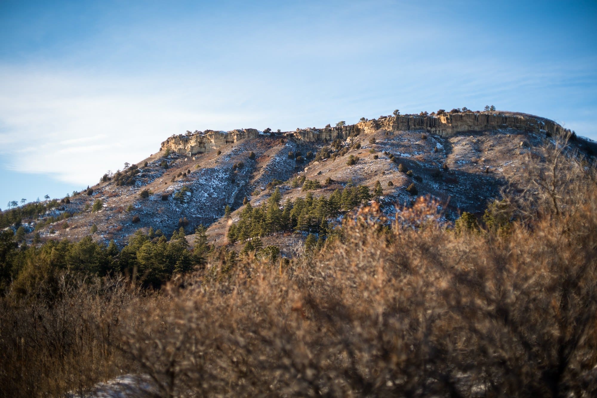 Dawson Butte // Don't wait until the high elevation snow melts to start hiking in Colorado this summer. here are 5 Colorado spring hikes in the Front Range that are perfect for mud season. 