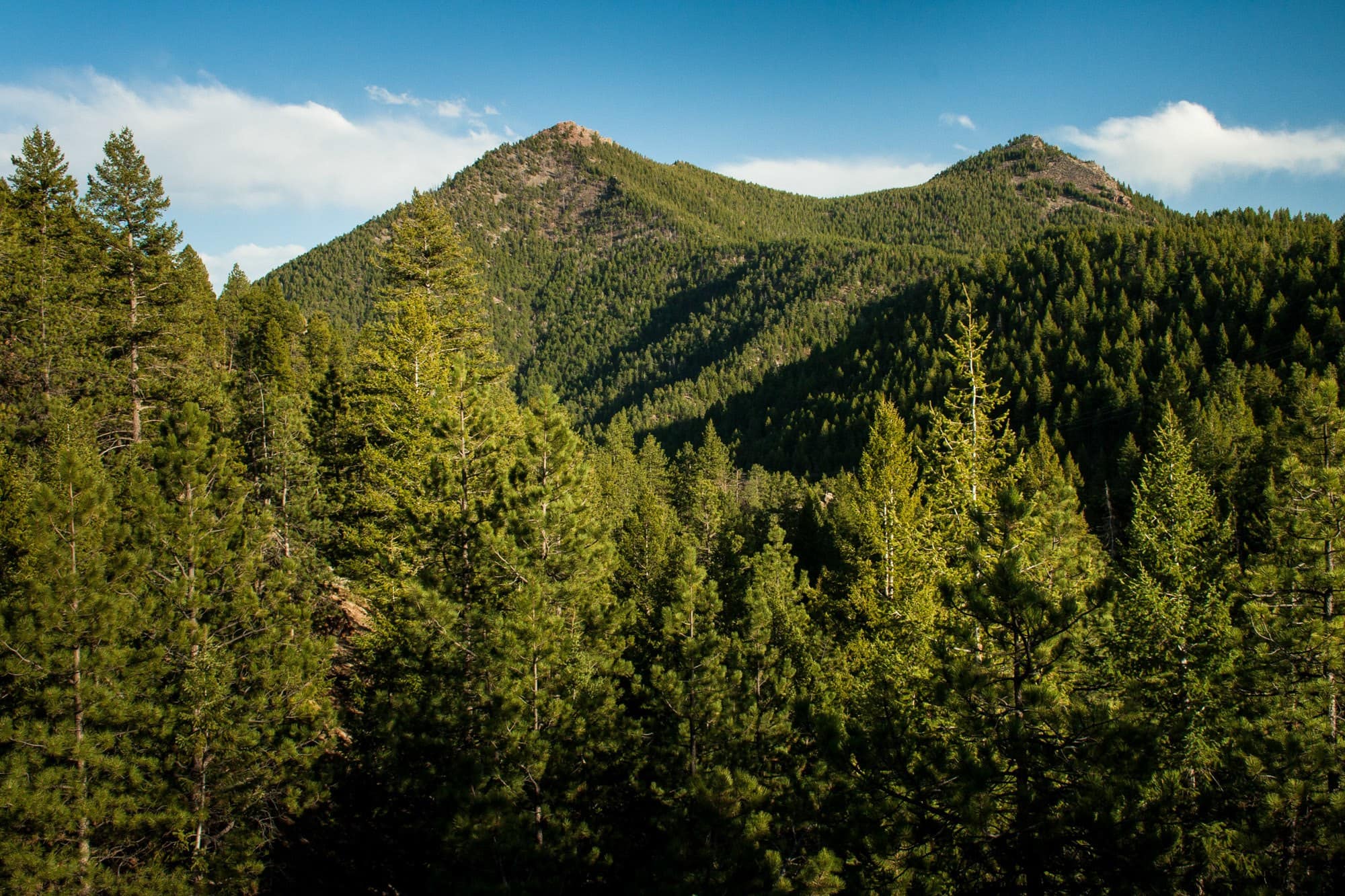 Skyline Traverse // Don't wait until the high elevation snow melts to start hiking in Colorado this summer. here are 5 Colorado spring hikes in the Front Range that are perfect for mud season. 