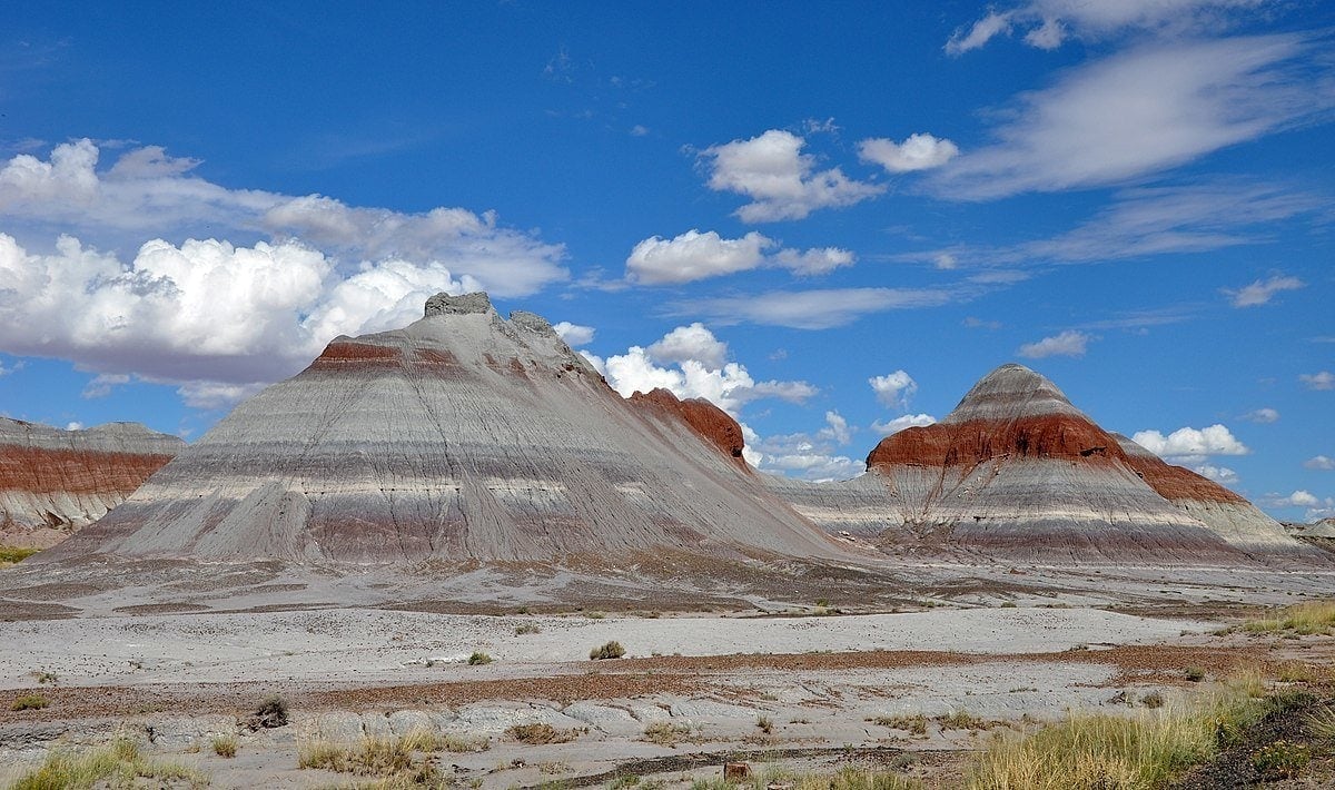 Petrified Forest National Park is one of the most dog-friendly national parks in the country.