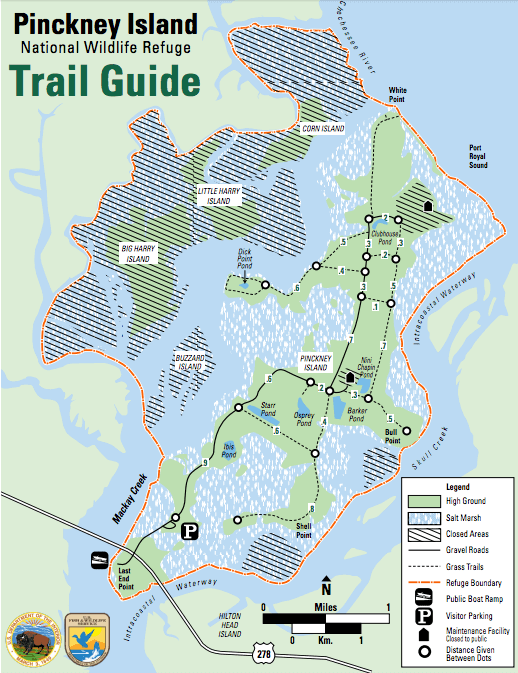 Pinckney Island National Wildlife Refuge Trail Guide // Plan an active vacation with the best outdoor activities on Hilton Head Island including hiking, biking, kayaking, and more.